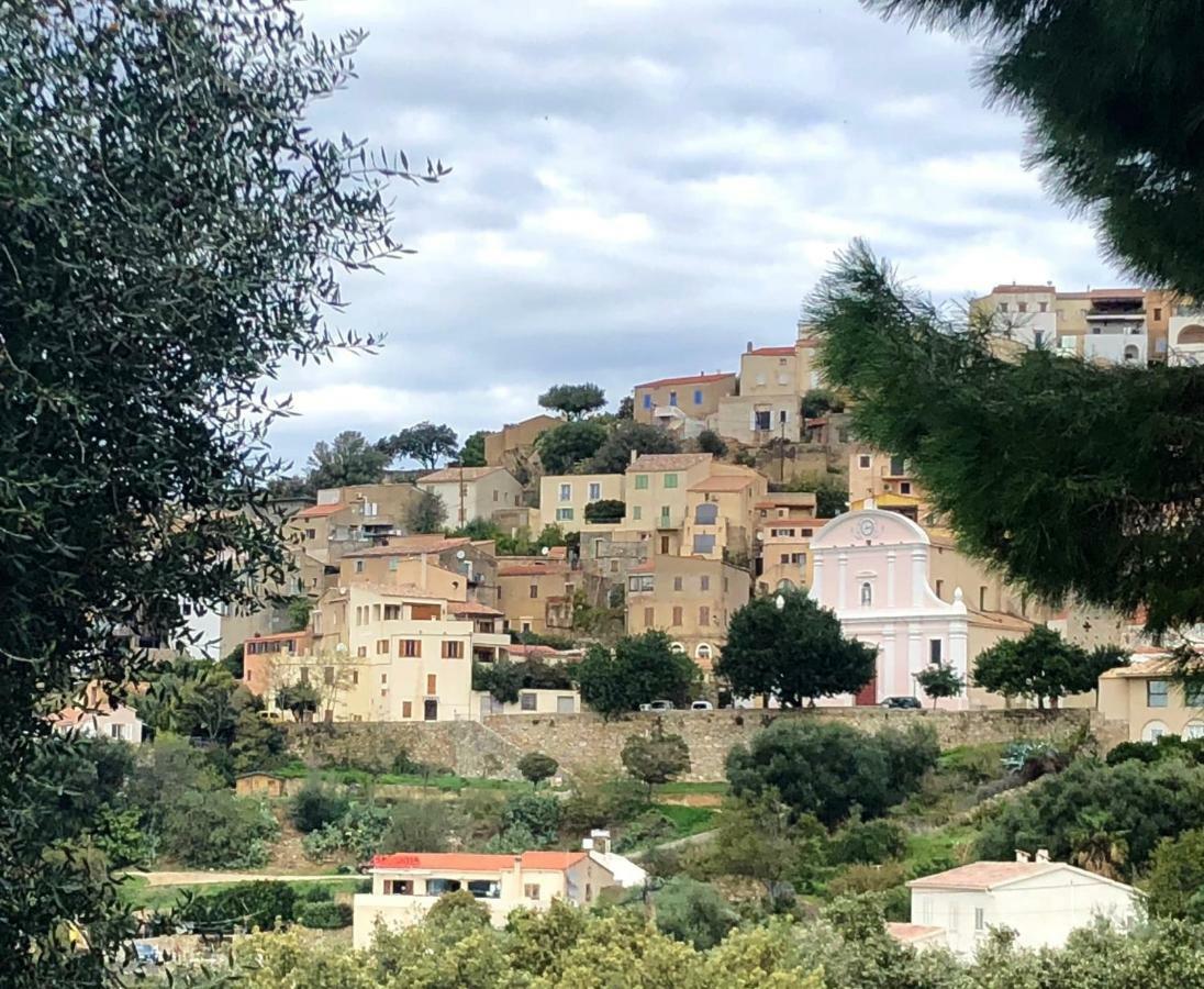 Corse - Lumio, Balagne Petite Maison Loft, Vue Imprenable Sur Le Golfe De Calvi Lumio (Corsica)