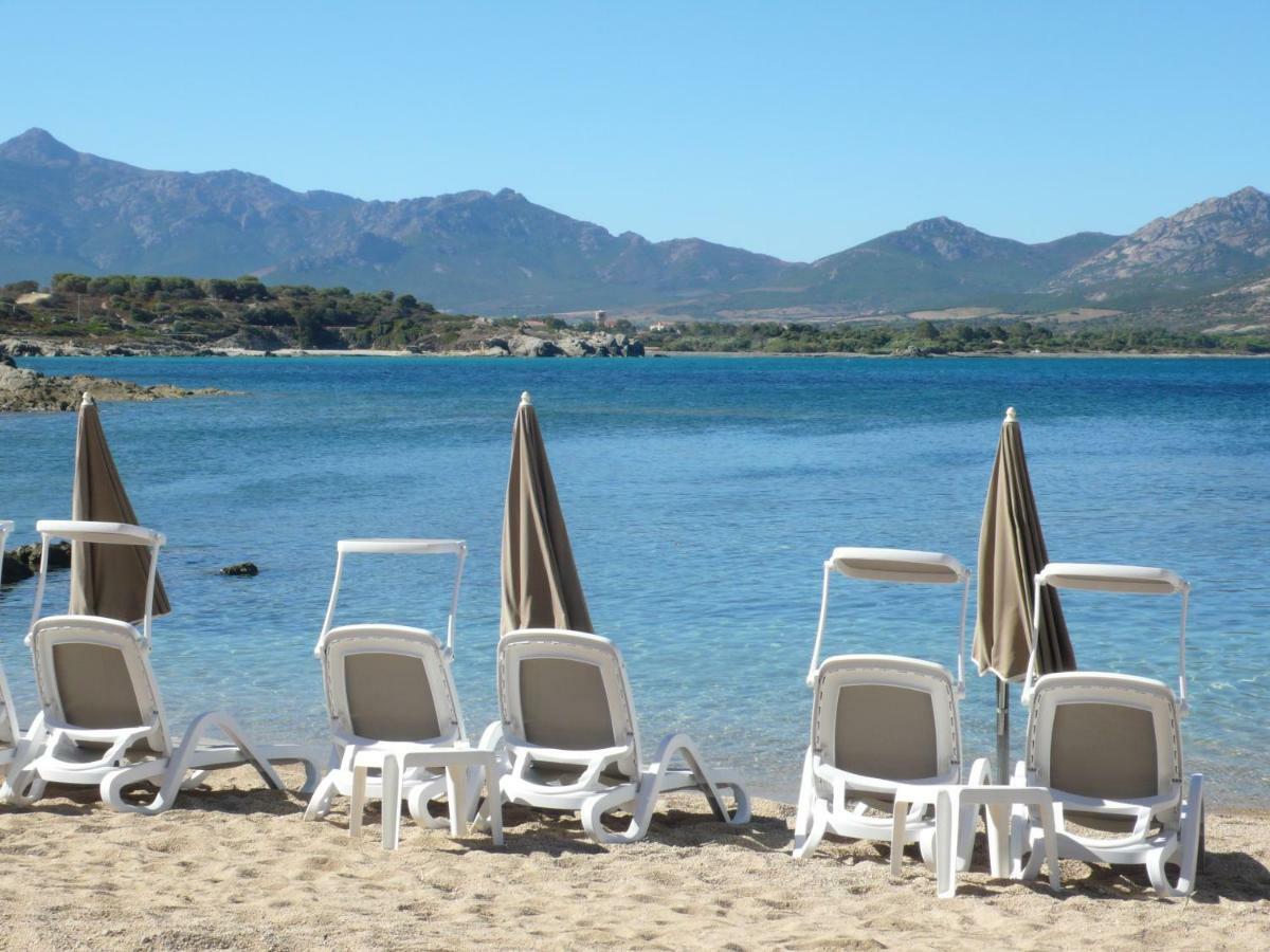 Apartment Corse - Lumio, Balagne Petite Maison Loft, Vue Imprenable Sur Le Golfe De Calvi *